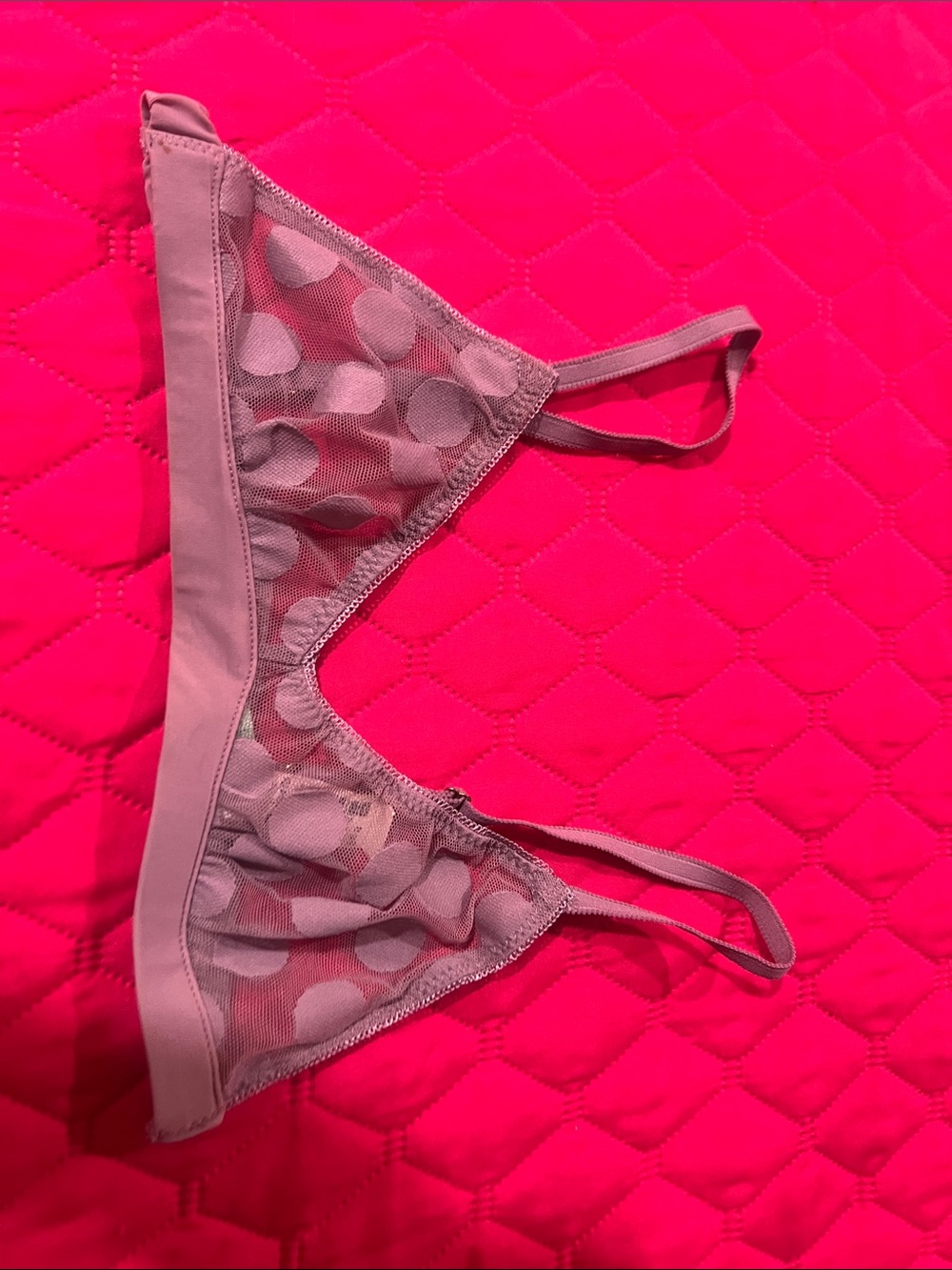 Honeydew Intimates Sheer Polka Dot Triangle Bralette - Mauve